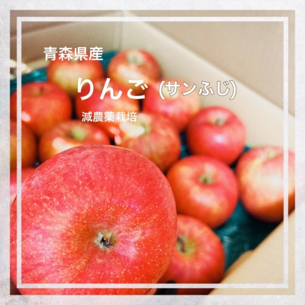 画像1: 青森県産　りんご（減農薬） (1)